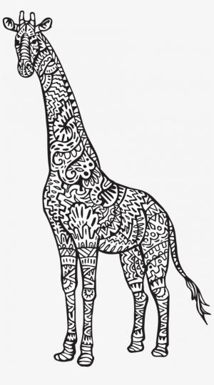 Zürafa boyama sayfası, Giraffes coloring page, Zürafa Yetişkin Içindir, 