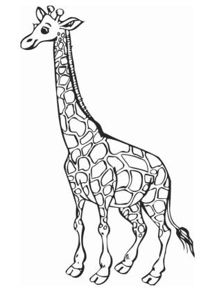 Zürafa boyama sayfası, Giraffes coloring page, Müthiş Zürafa, 