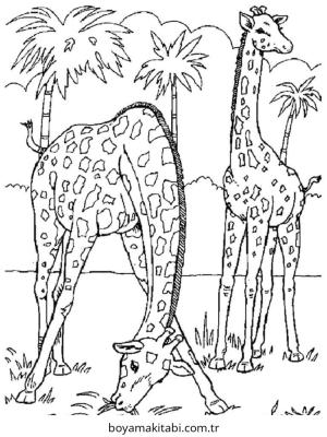 Zürafa Boyama