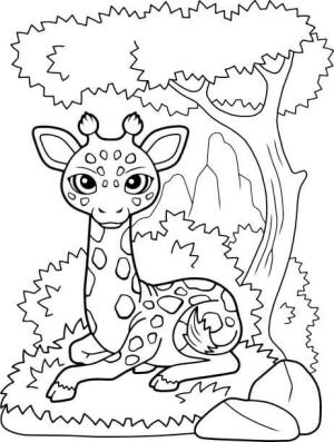 Zürafa boyama sayfası, Giraffes coloring page, Çim Yığını Üzerinde Oturan Zürafa, 