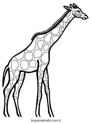 Zürafa Boyama