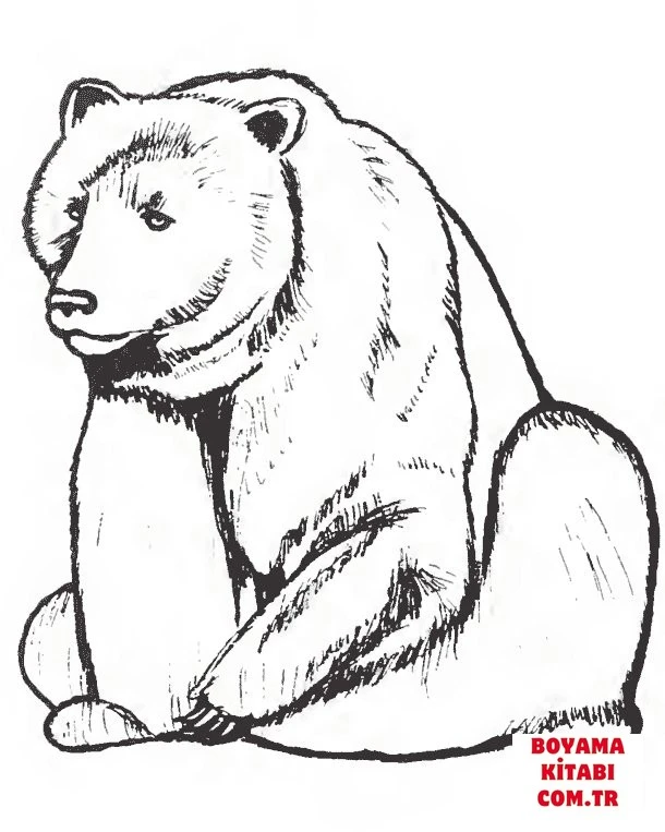 Ayı boyama sayfası – PDF indir, sevimli karakter