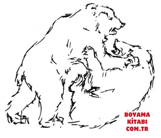 Ayı boyama sayfası – okul öncesi, evde etkinlik