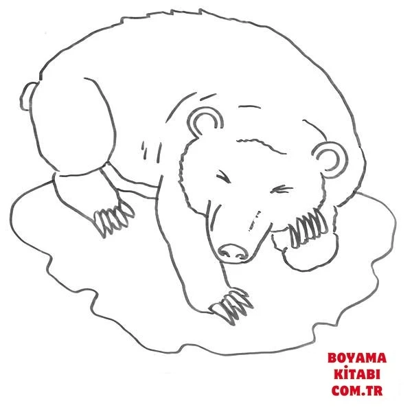 Ayı boyama sayfası – çizgi film temalı, basit çizim