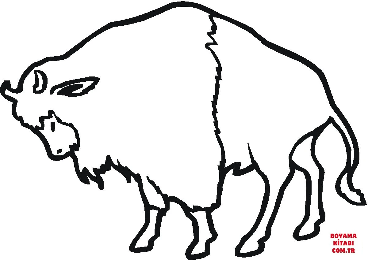 Bufalo boyama sayfası – PDF indir, sevimli karakter