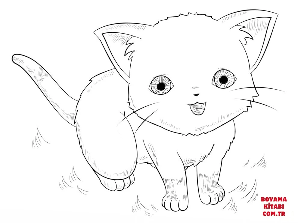 Kedi boyama sayfası – okul öncesi, evde etkinlik