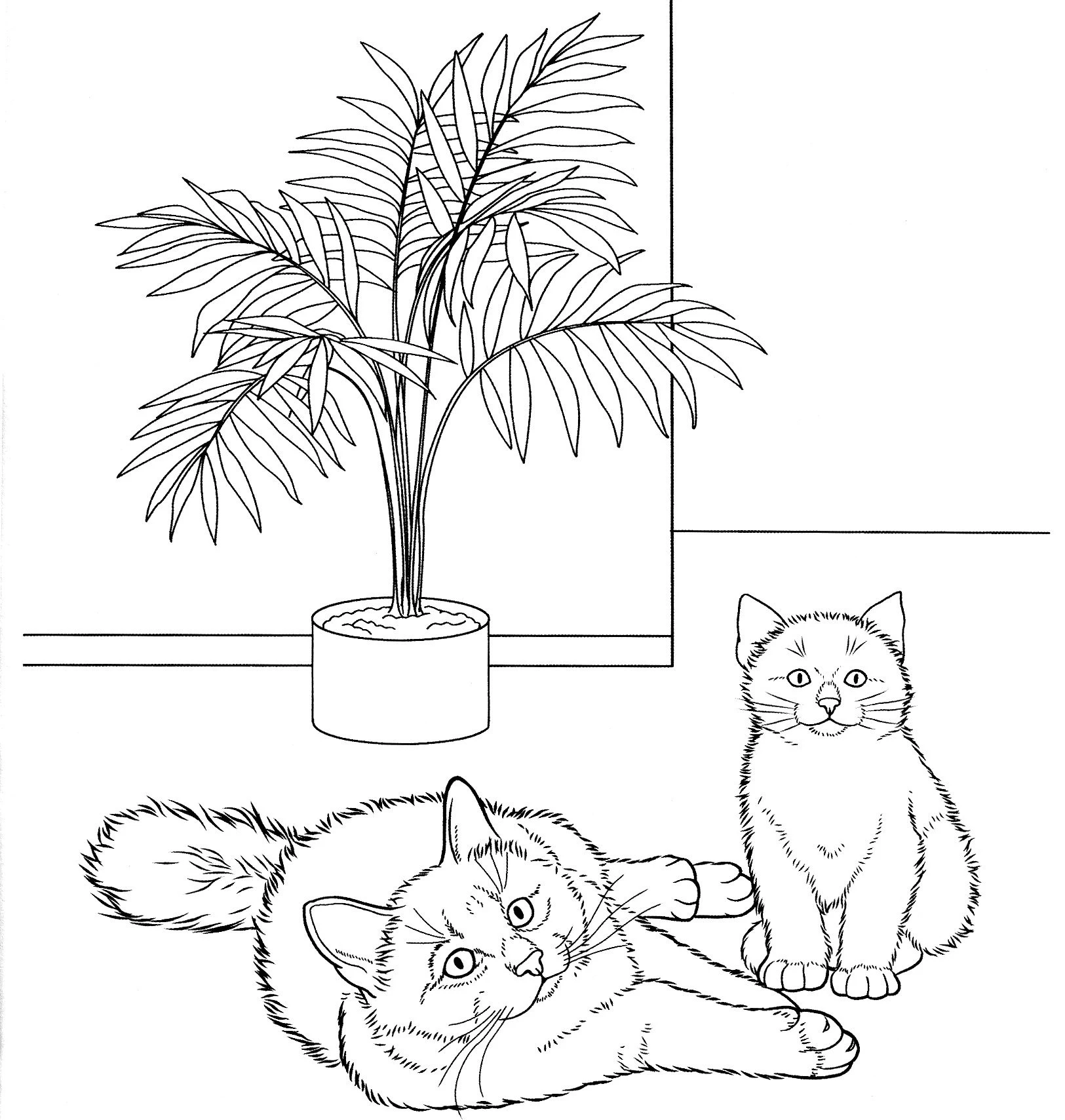 Kedi boyama sayfası – boyama etkinliği, çocuk aktivitesi