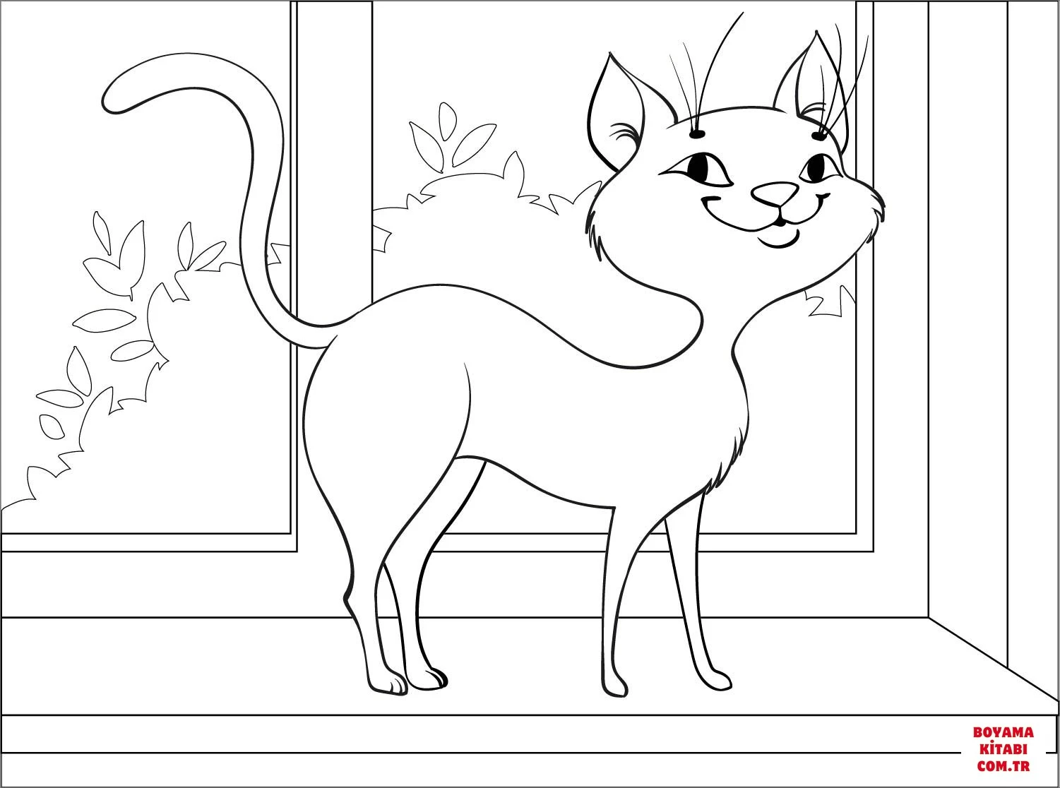 Kedi boyama sayfası – eğitici aktivite, yaratıcılık