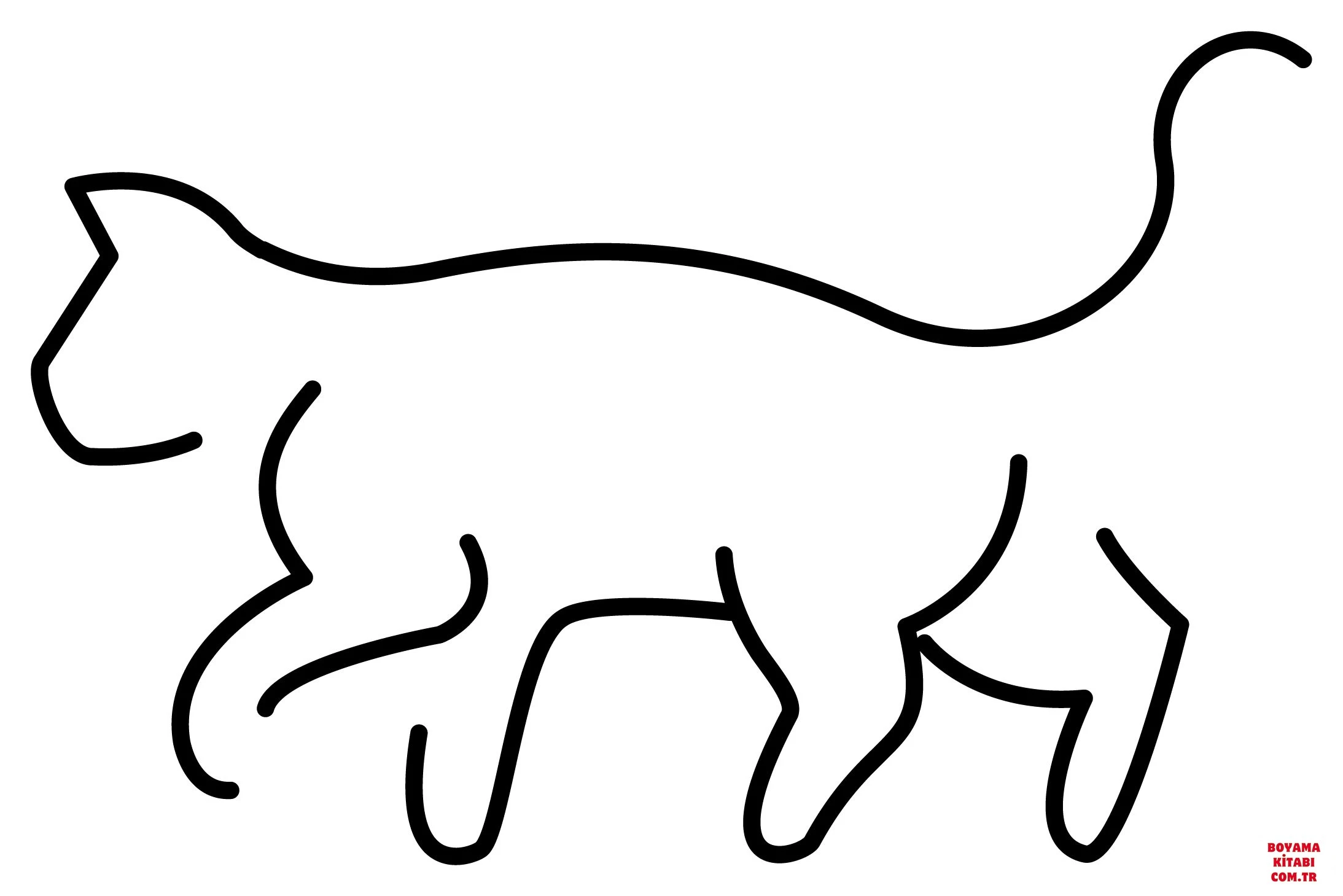 Kedi boyama sayfası – boyama çalışması, yaratıcılığı geliştirir