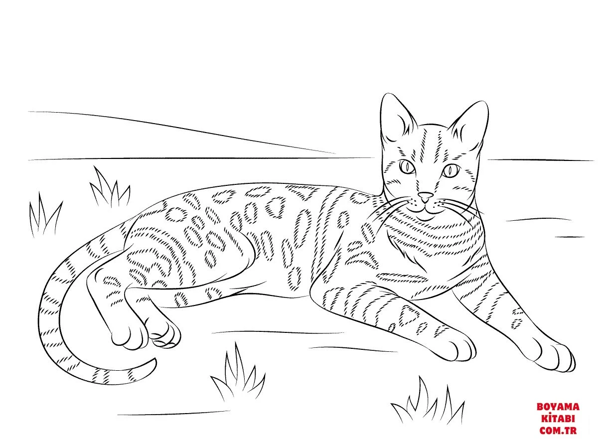 Kedi boyama sayfası – eğlenceli etkinlik, el becerilerini geliştirir