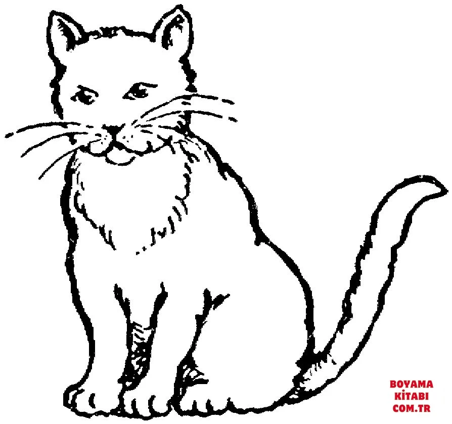 Kedi boyama sayfası – boyama çalışması, yaratıcılığı geliştirir