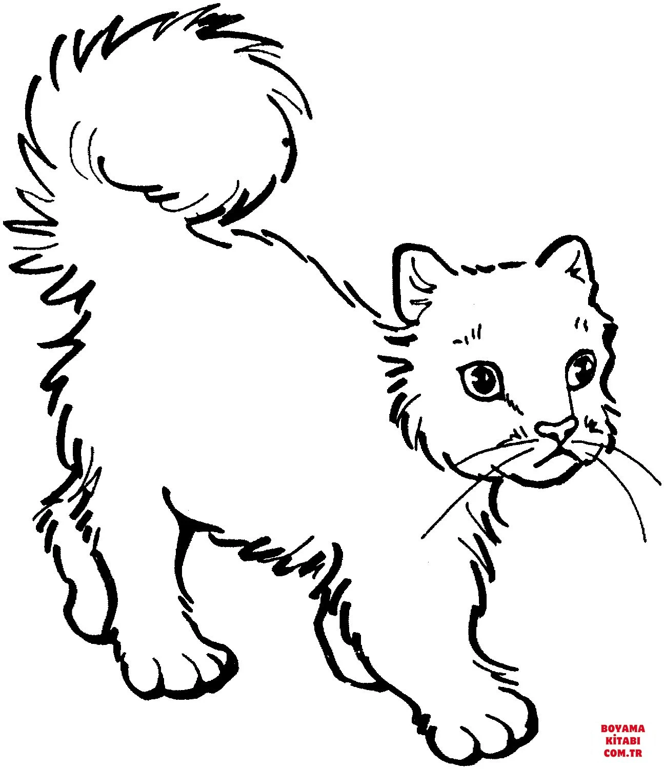 Kedi boyama sayfası – eğlenceli etkinlik, el becerilerini geliştirir