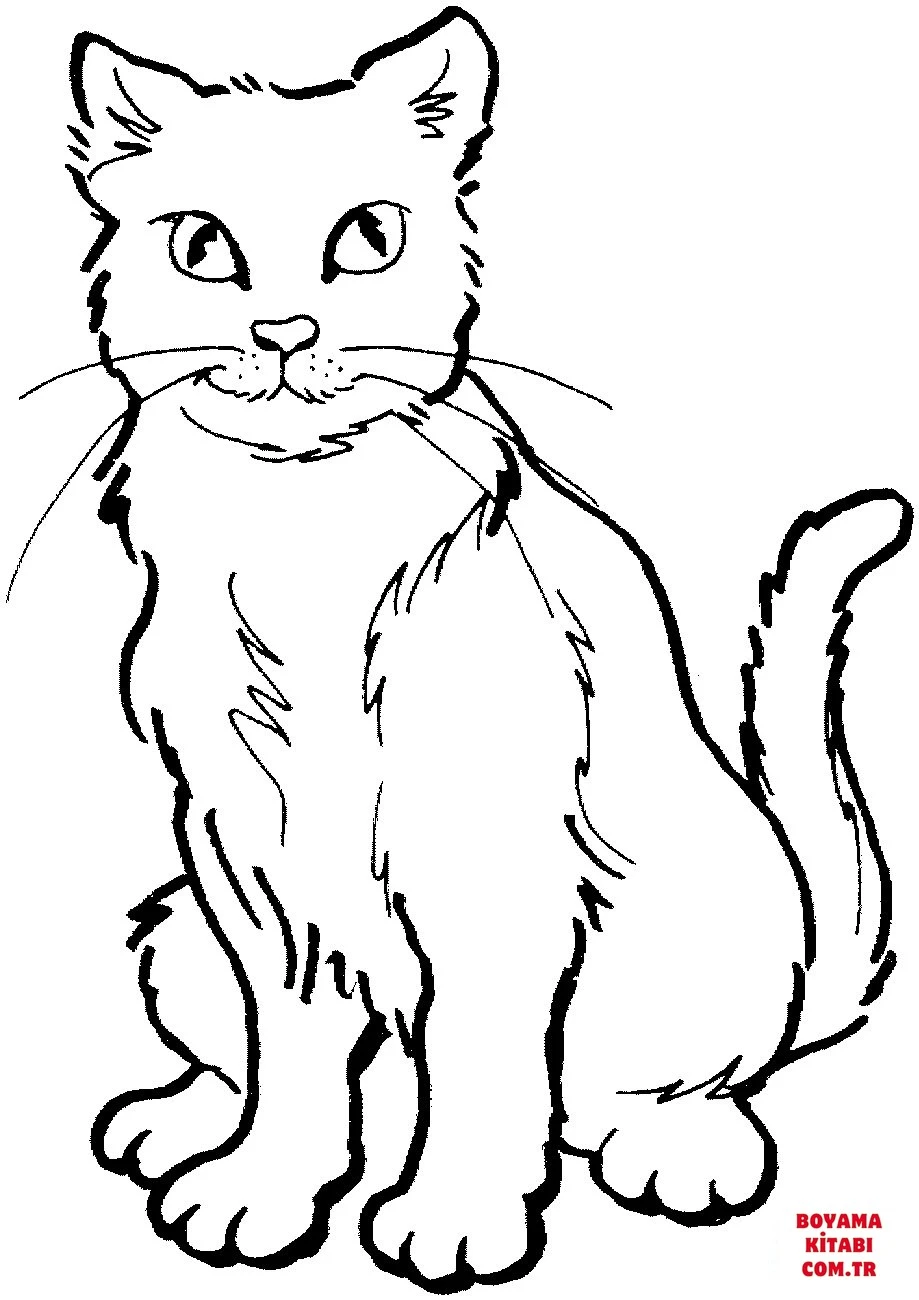 Kedi boyama sayfası – okul öncesi, evde etkinlik