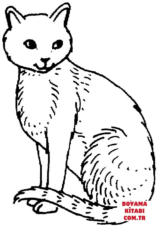 Kedi boyama sayfası – eğitici aktivite, yaratıcılık