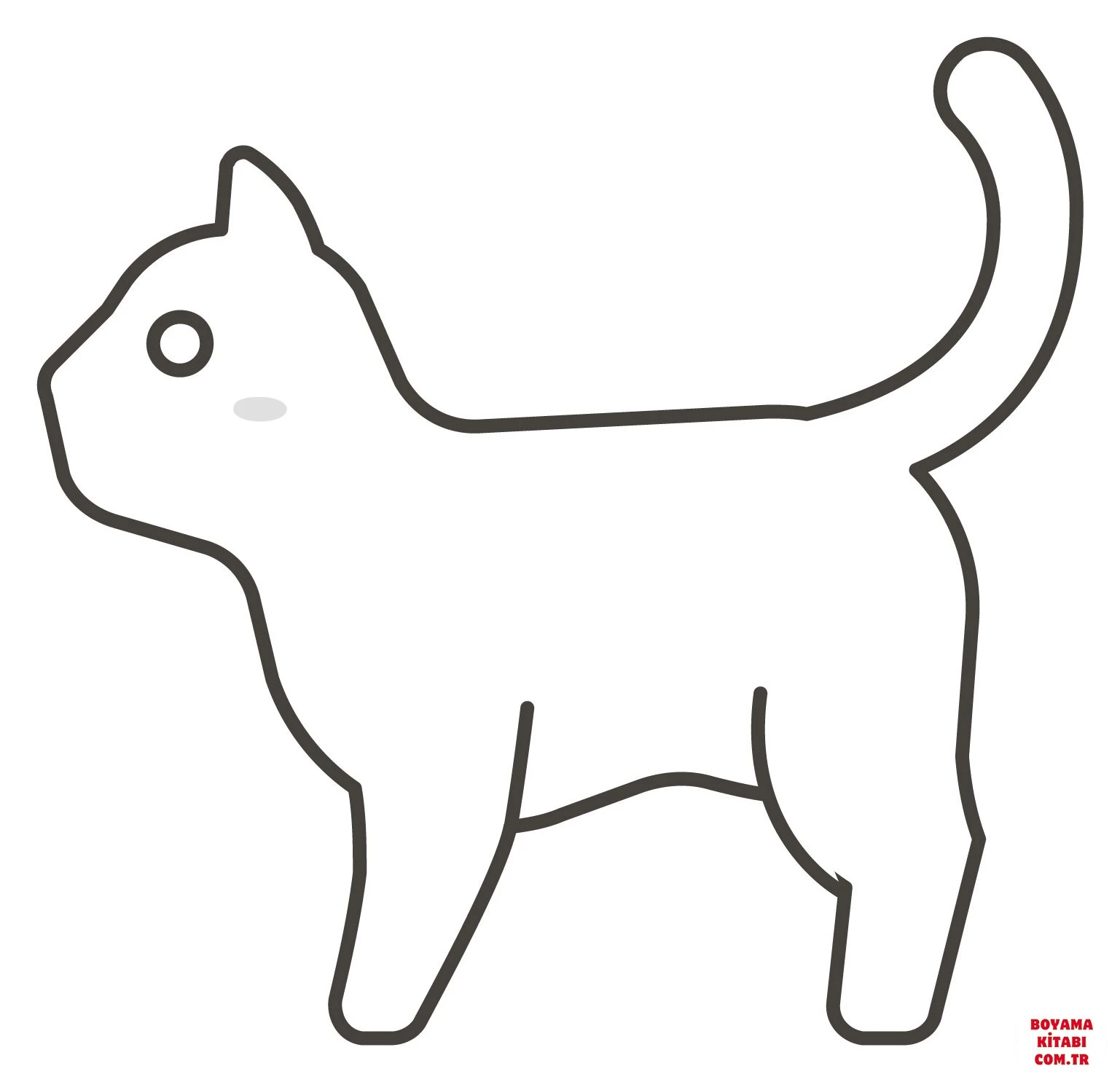 Kedi boyama sayfası – keyifli zaman, renkli çizimler