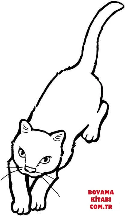 Kedi boyama sayfası – basit çizim, kolay boyama
