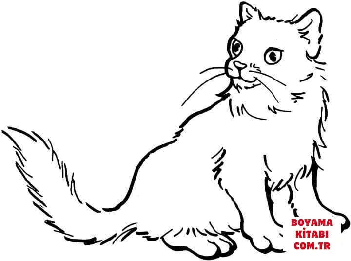 Kedi boyama sayfası – boyama çalışması, yaratıcılığı geliştirir