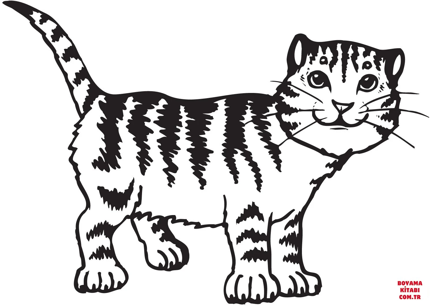 Kedi boyama sayfası – renkli çizimler, okul öncesi