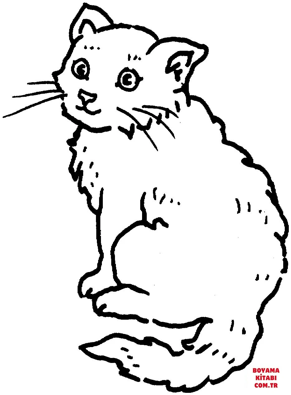 Kedi boyama sayfası – PDF indir, sevimli karakter