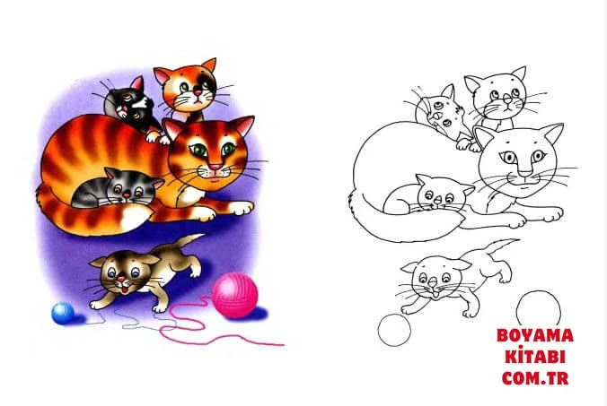 Kedi boyama sayfası – eğitici aktivite, yaratıcılık