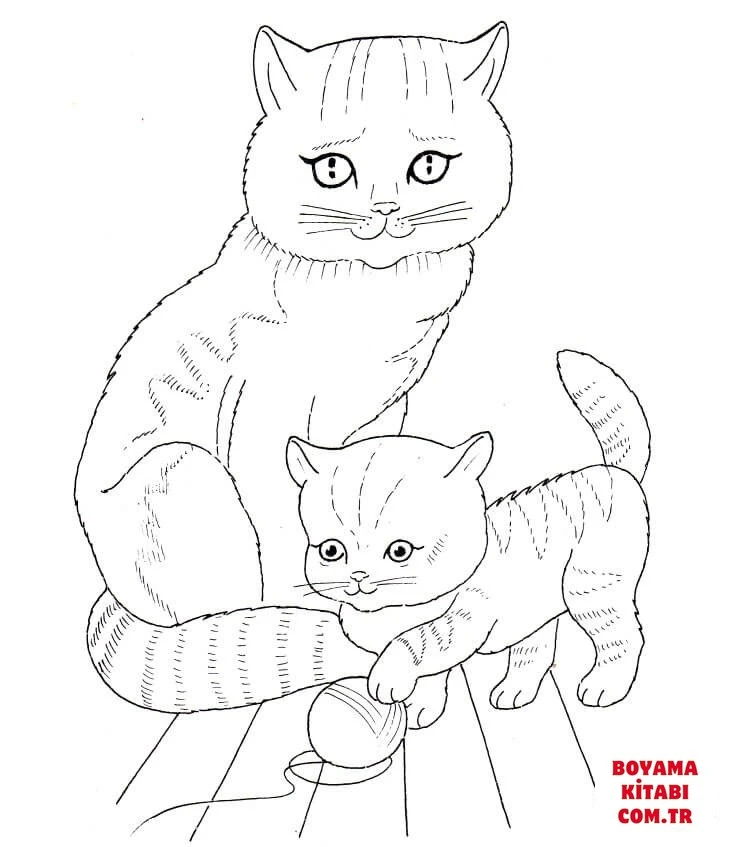 Kedi boyama sayfası – yaratıcılık, eğlenceli etkinlik