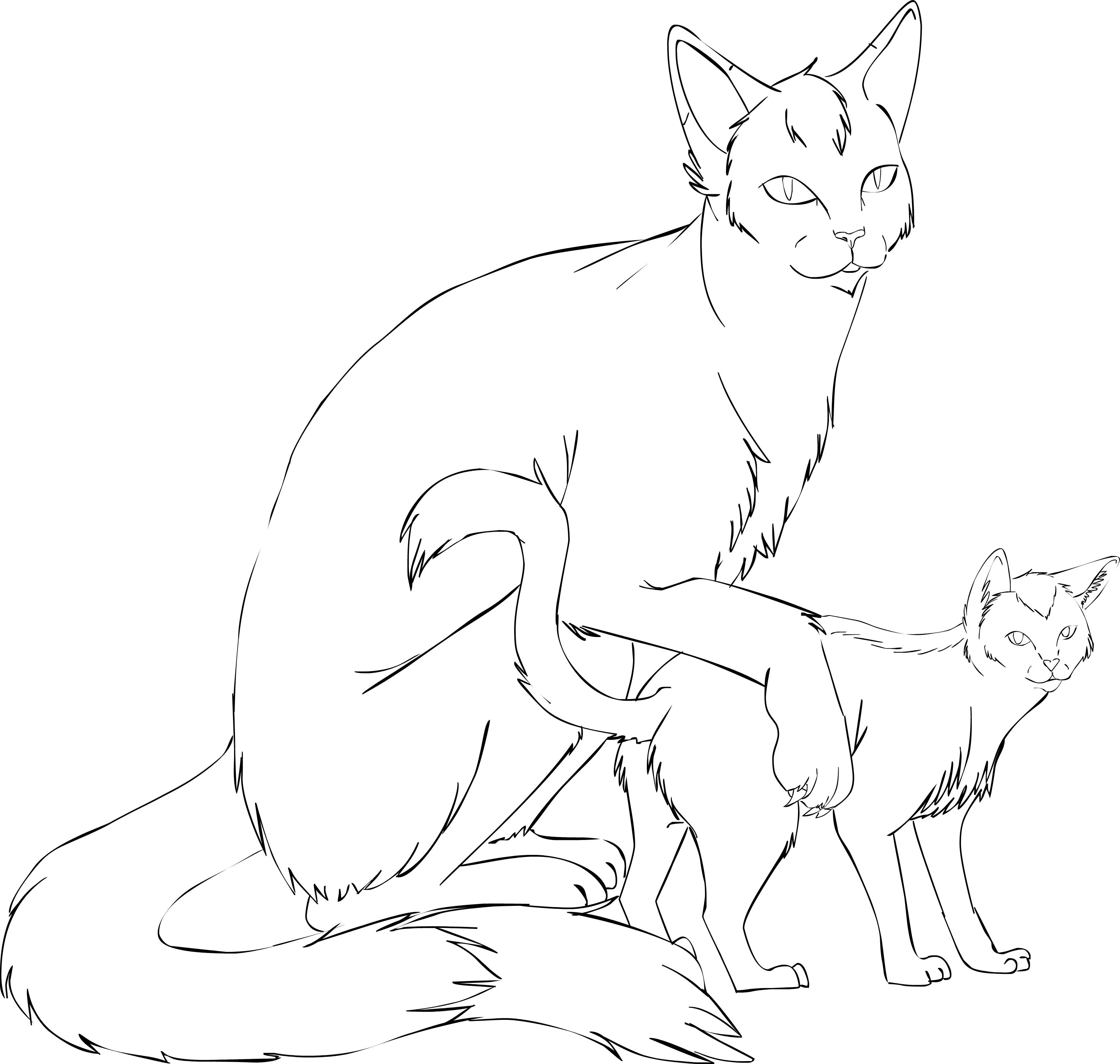 Kedi boyama sayfası – boyama çalışması, yaratıcılığı geliştirir