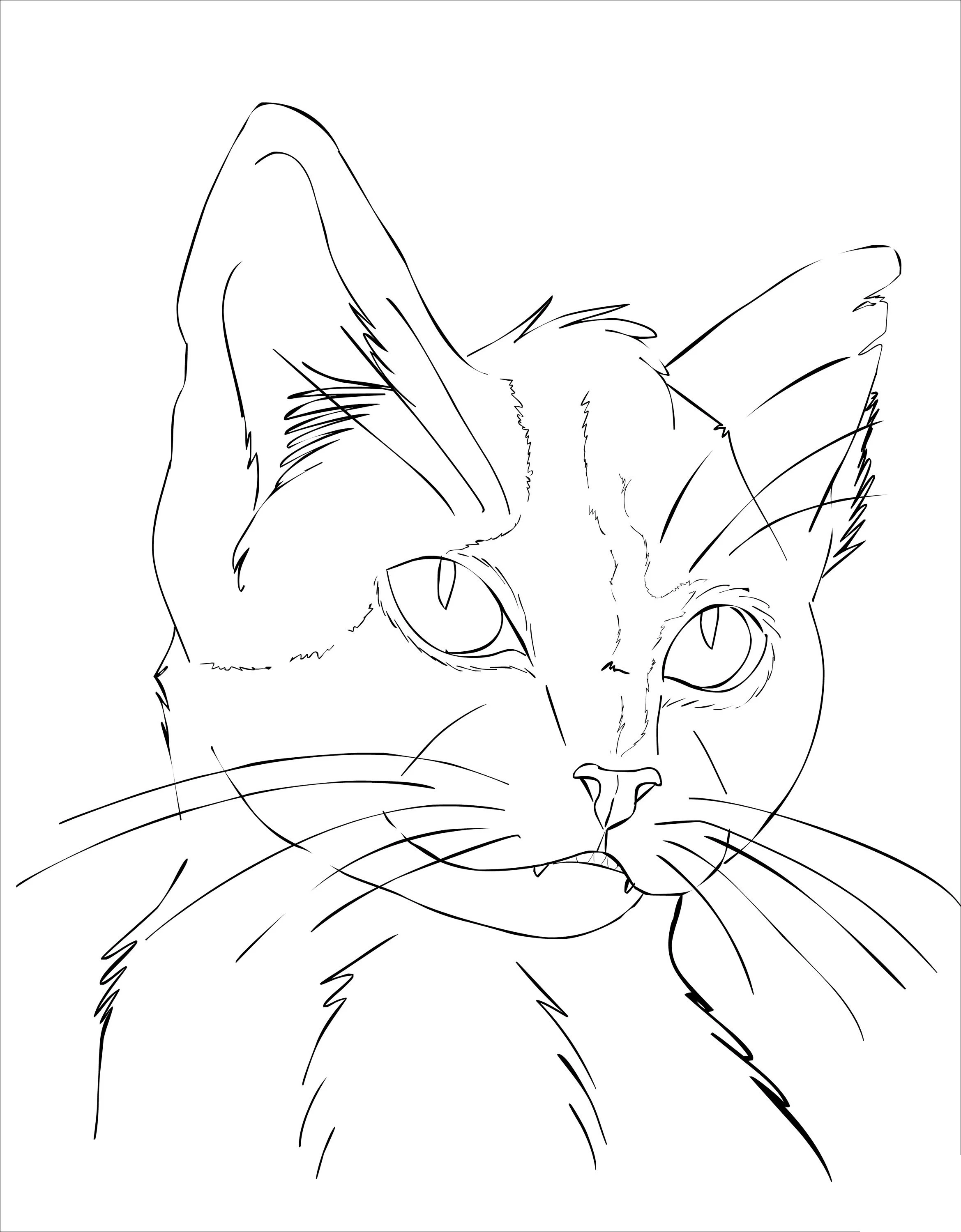 Kedi boyama sayfası – renkli çizimler, okul öncesi
