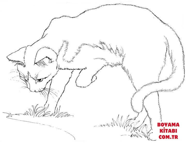 Kedi boyama sayfası – sevimli karakter, sanatsal çalışma