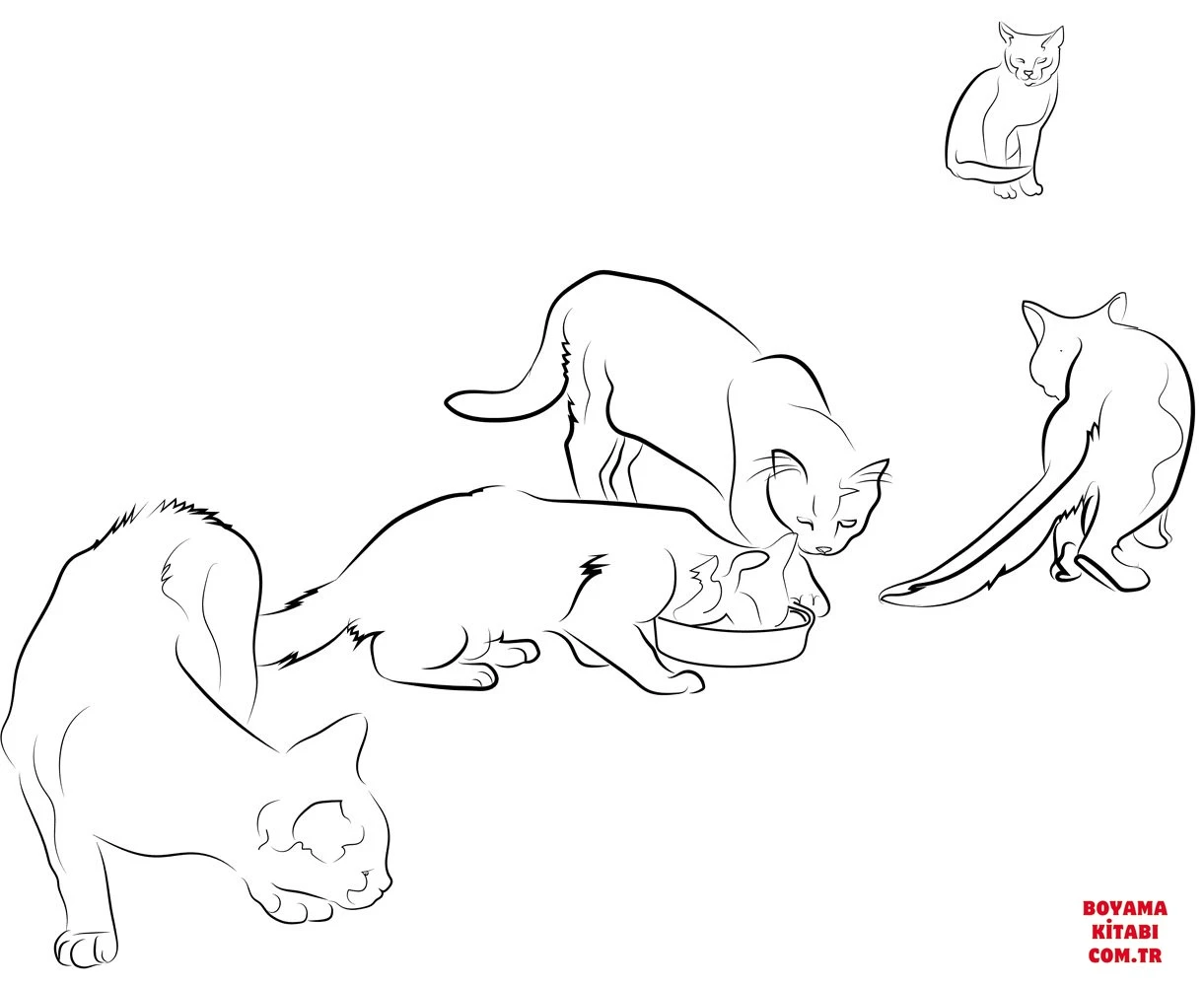 Kedi boyama sayfası – çizgi film temalı, basit çizim