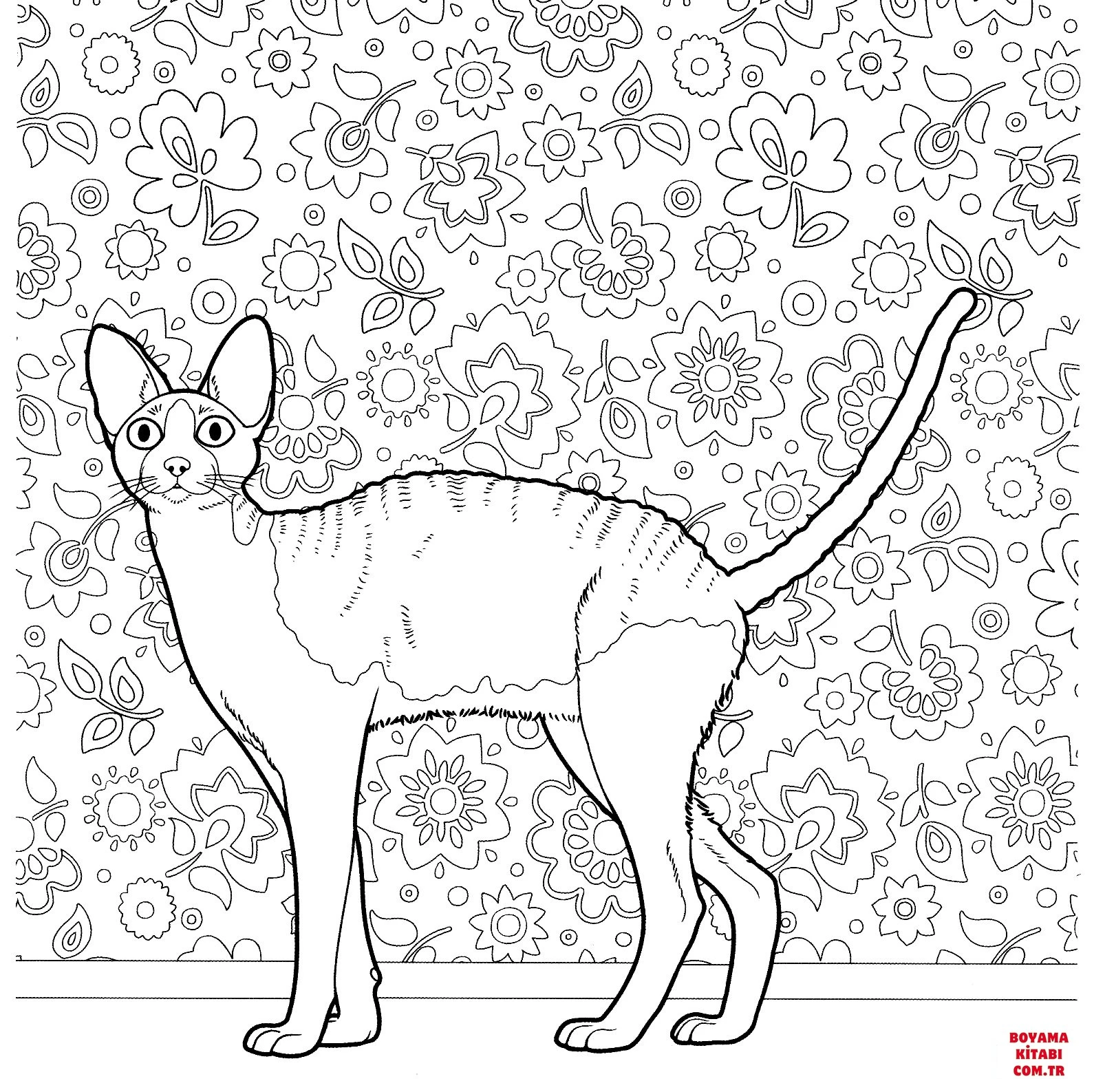 Kedi boyama sayfası – evde etkinlik, ücretsiz yazdır