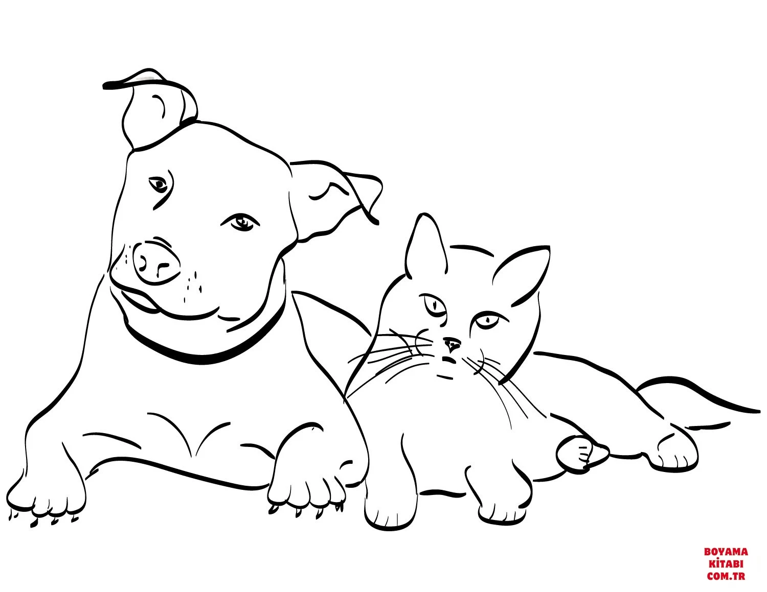 Kedi boyama sayfası – PDF indir, sevimli karakter