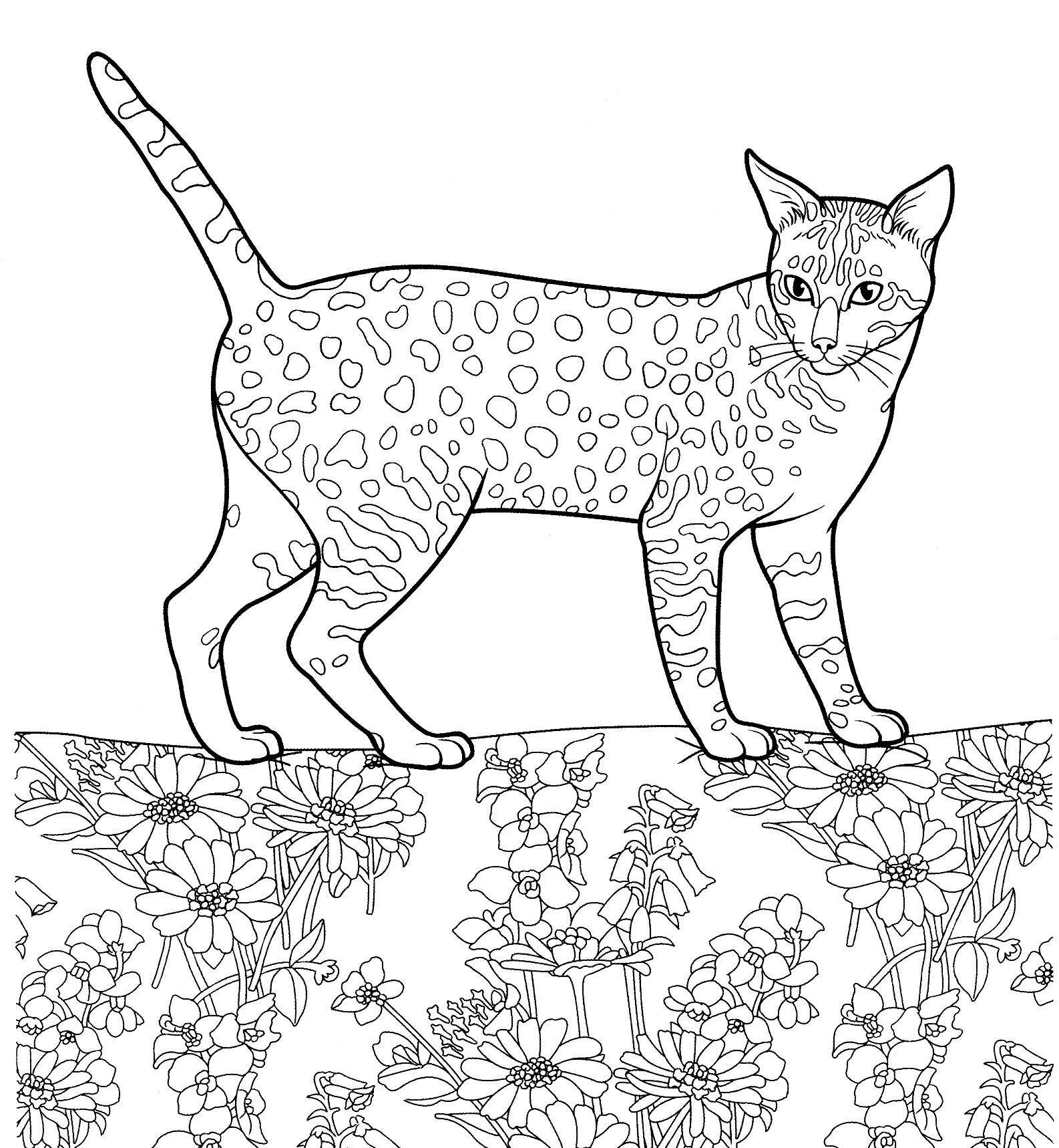 Kedi boyama sayfası – eğlenceli etkinlik, el becerilerini geliştirir