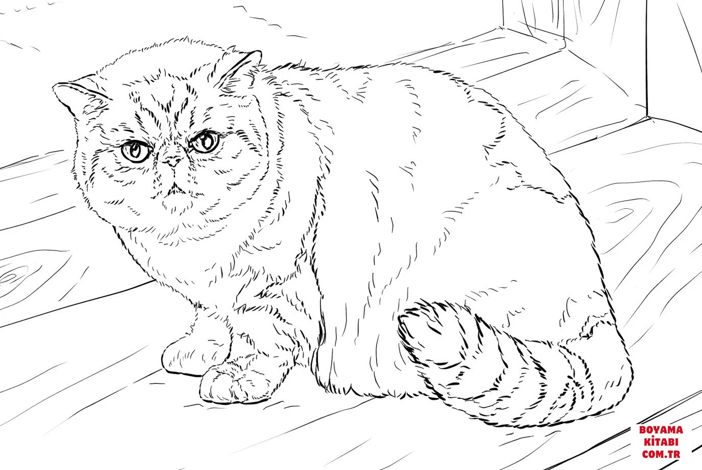 Kedi boyama sayfası – yaratıcılığı geliştirir, keyifli zaman