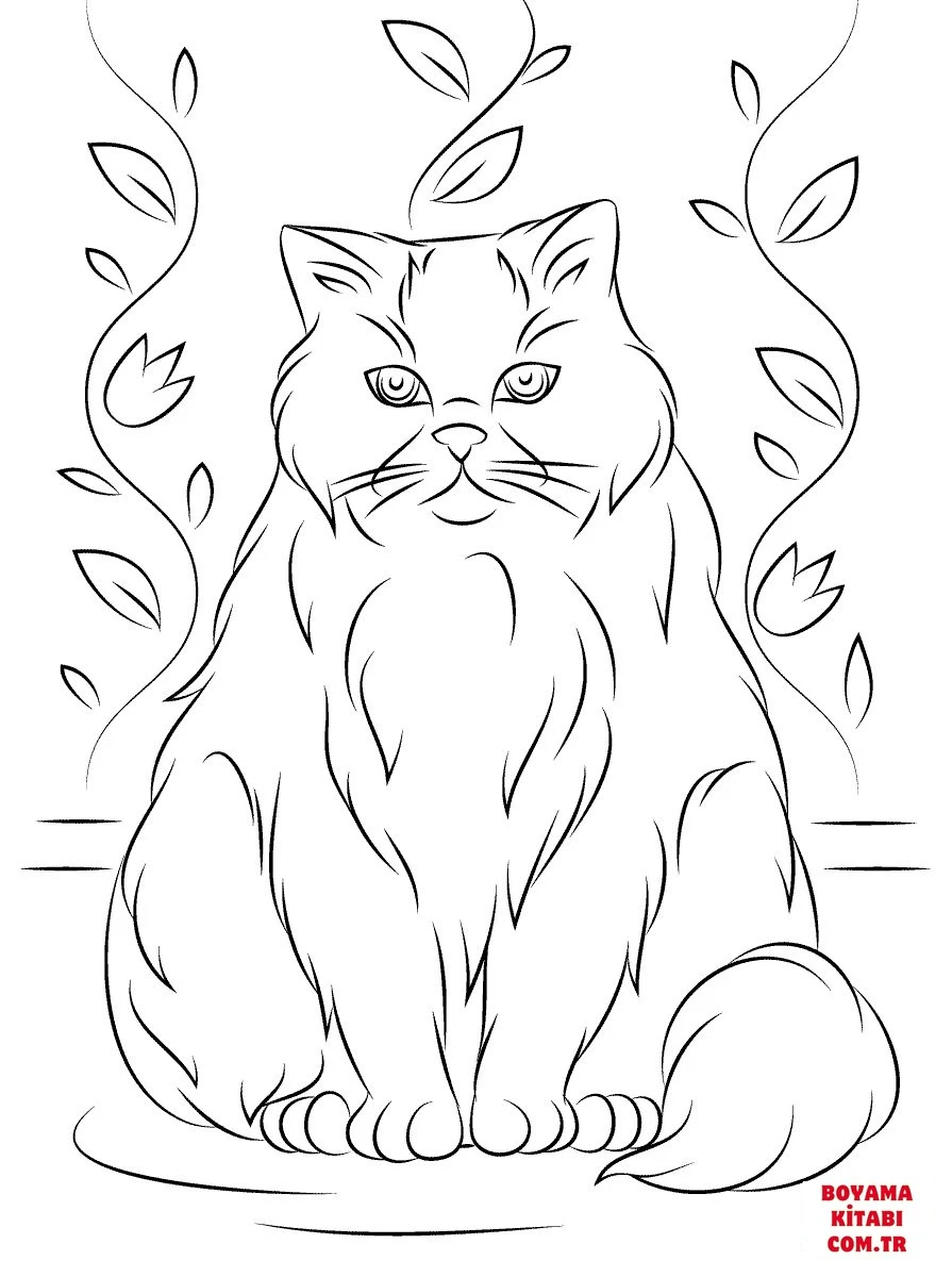 Kedi boyama sayfası – basit çizim, kolay boyama