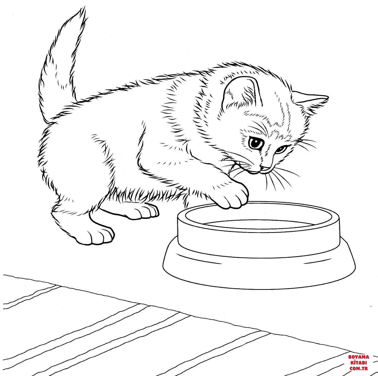 Kedi boyama sayfası – renkli çizimler, okul öncesi