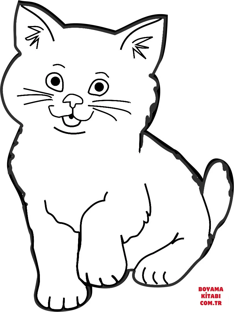 Kedi boyama sayfası – keyifli zaman, renkli çizimler