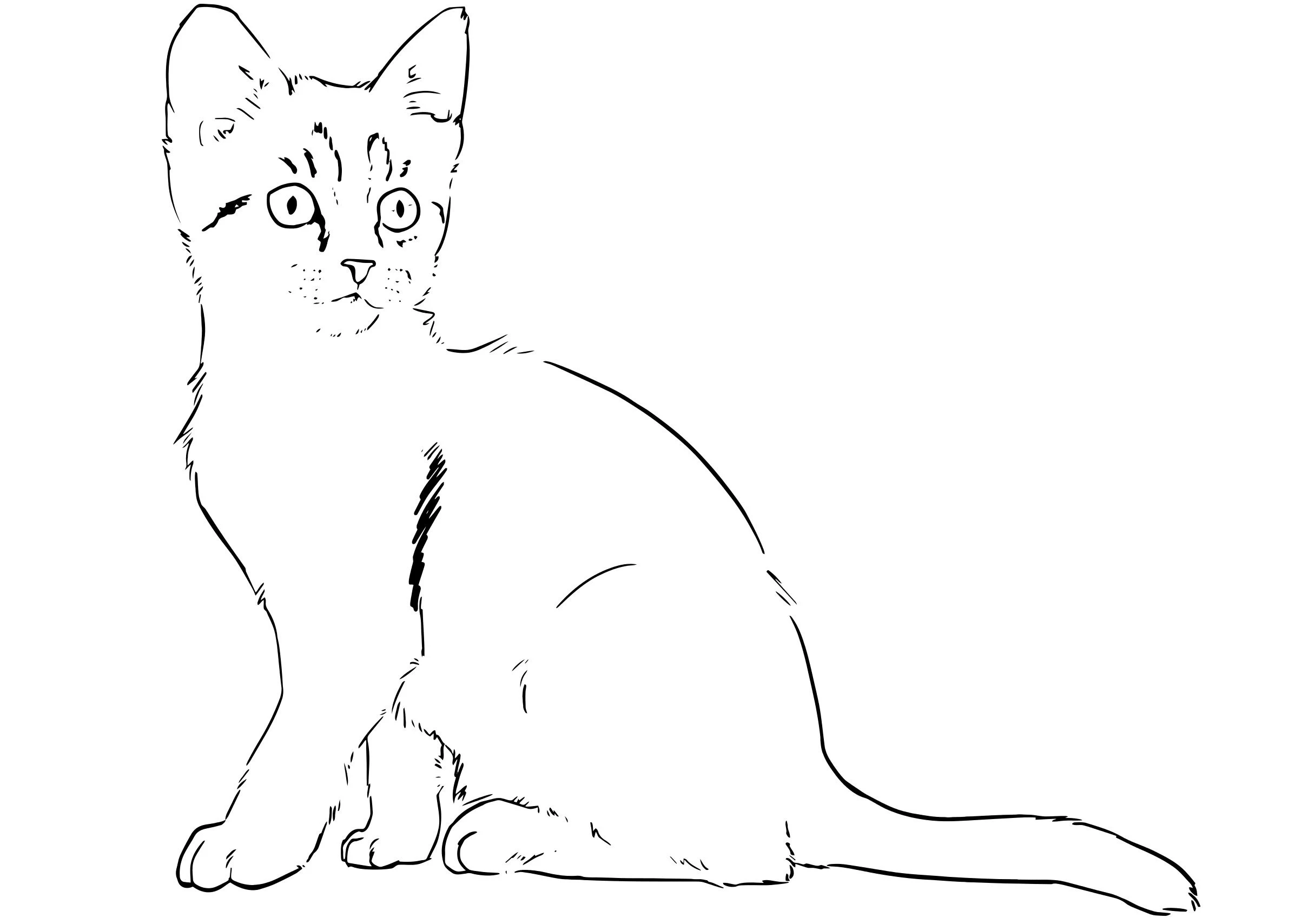 Kedi boyama sayfası – çocuk aktivitesi, PDF indir