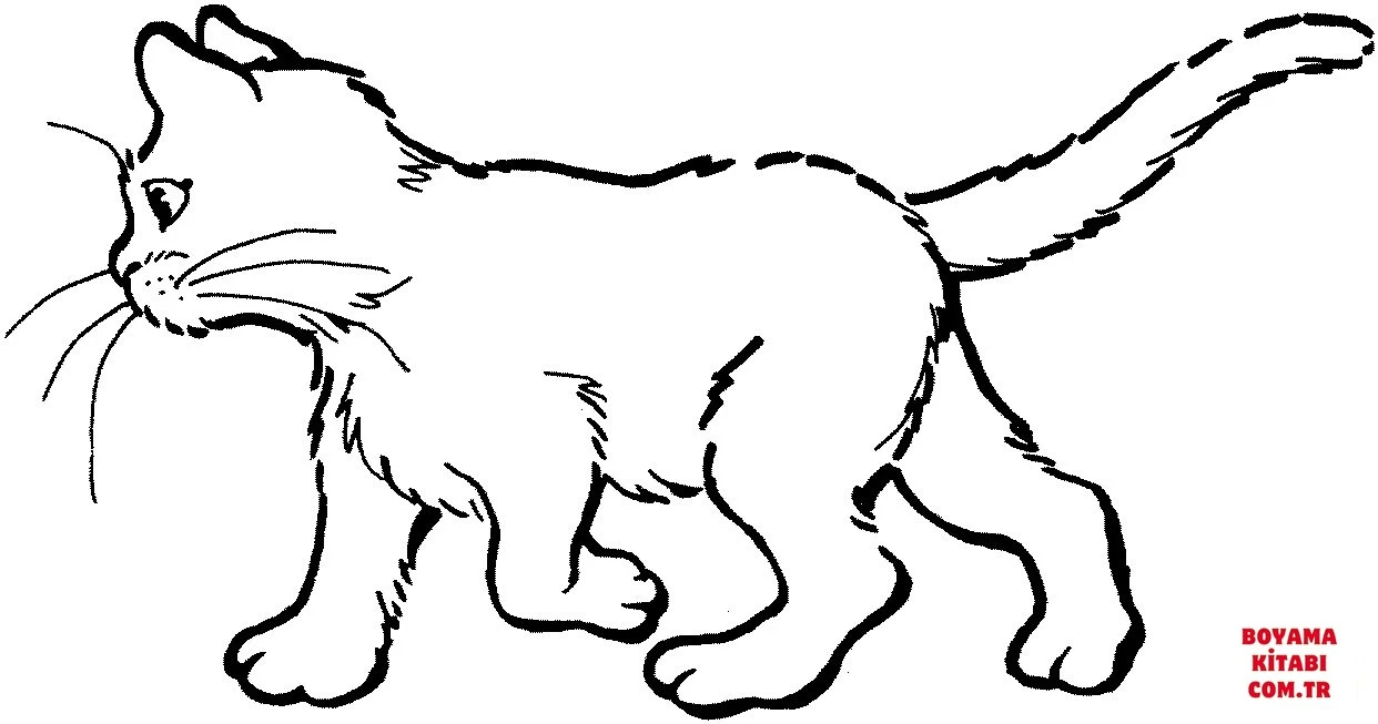 Kedi boyama sayfası – sanatsal çalışma, çocuklar için