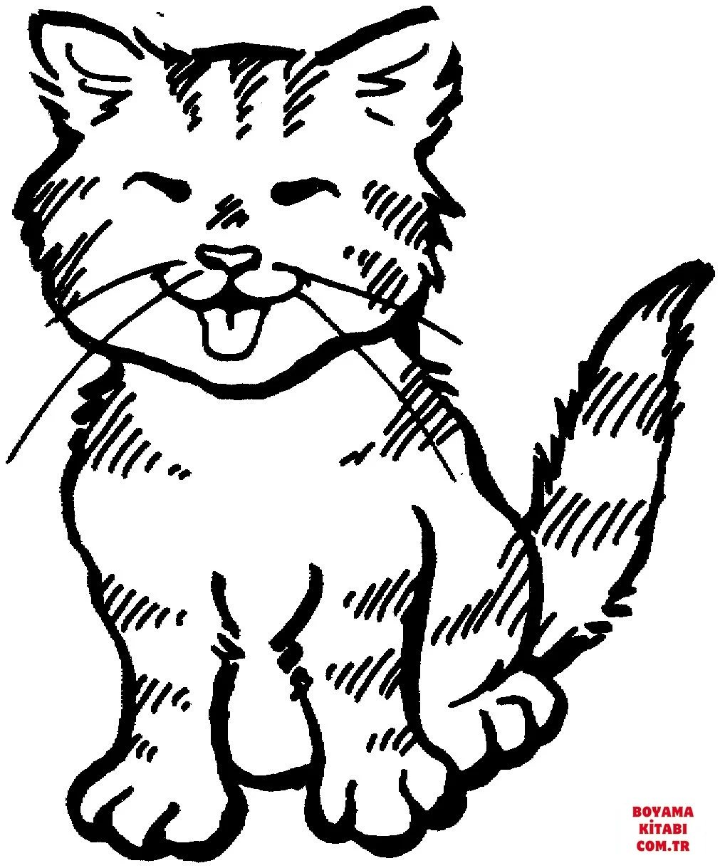 Kedi boyama sayfası – ücretsiz yazdır, boyama etkinliği