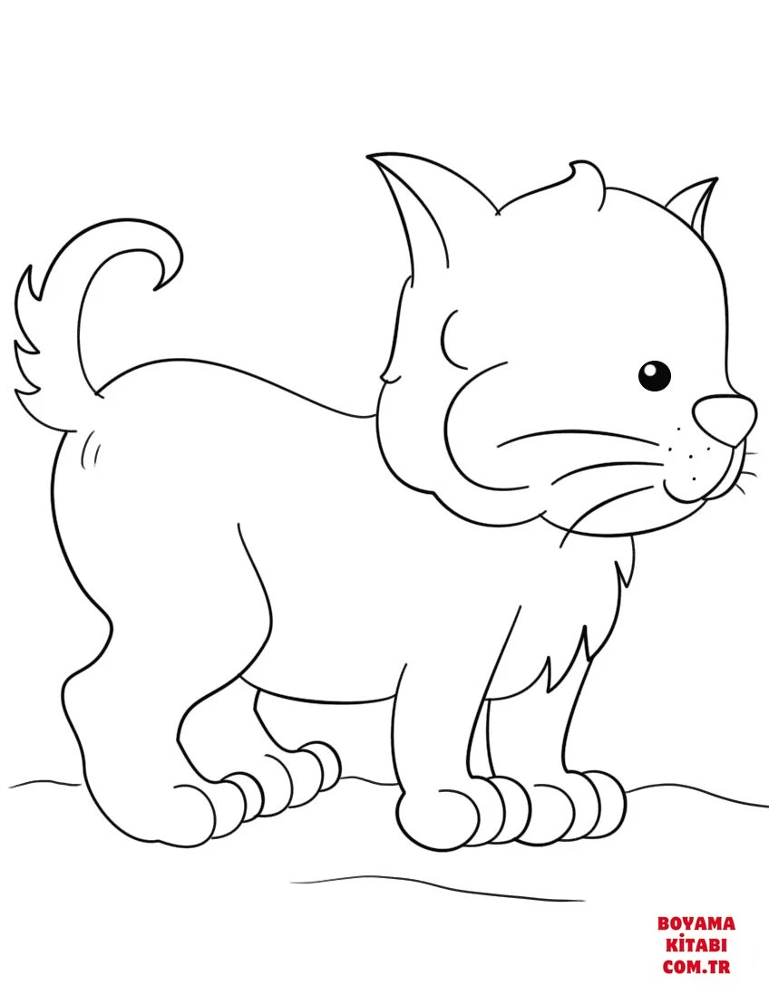Kedi boyama sayfası – boyama çalışması, yaratıcılığı geliştirir