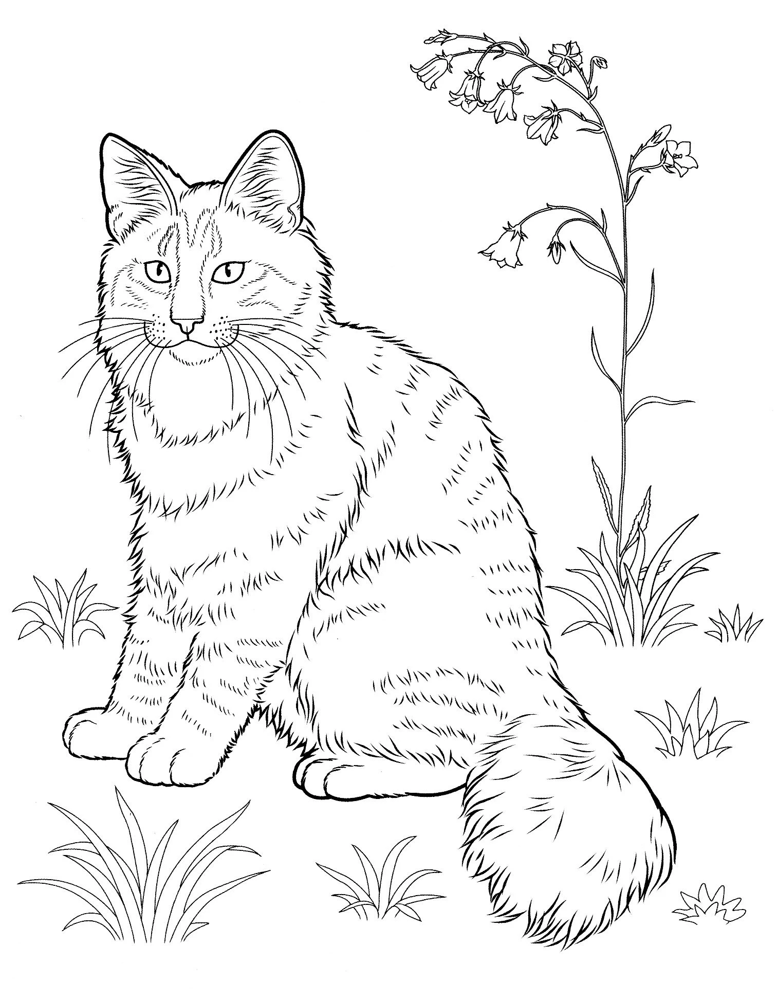 Kedi boyama sayfası – kolay boyama, eğitici aktivite