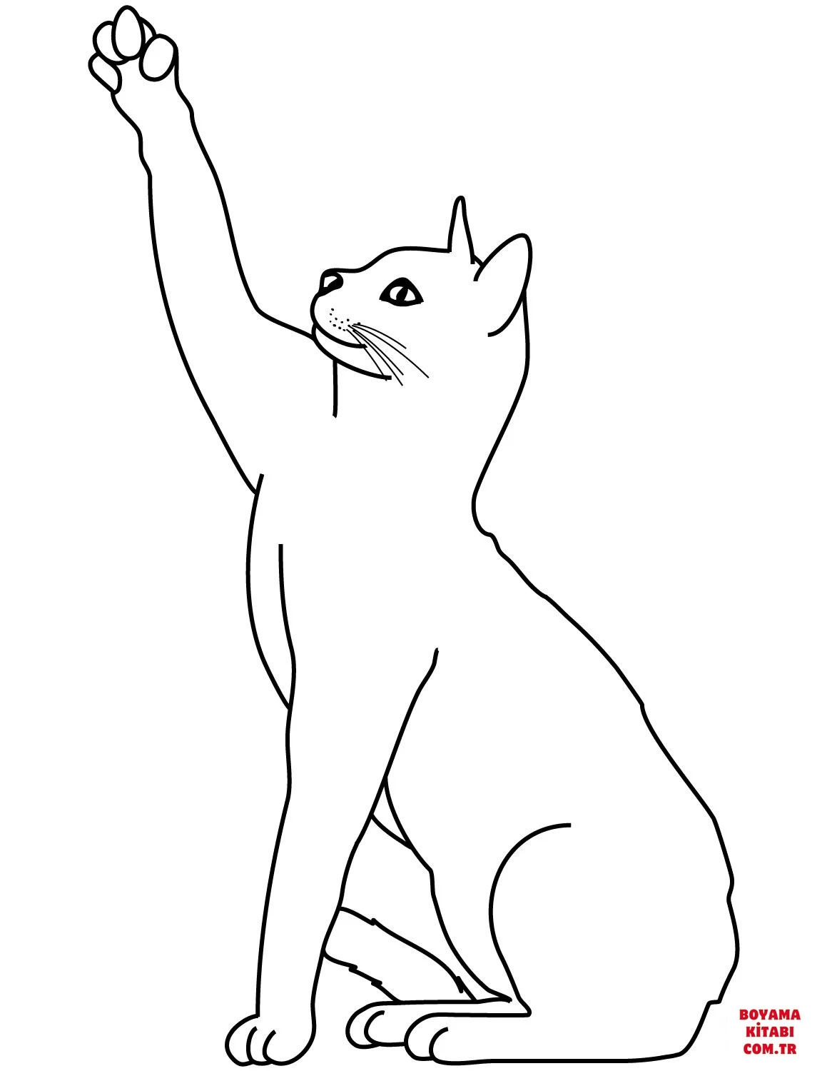 Kedi boyama sayfası – eğitici aktivite, yaratıcılık