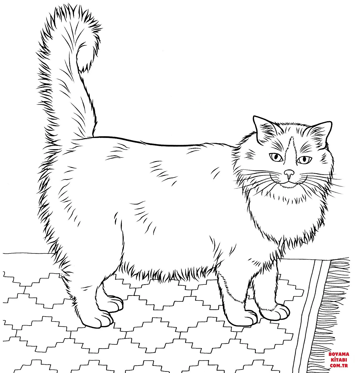 Kedi boyama sayfası – PDF indir, sevimli karakter