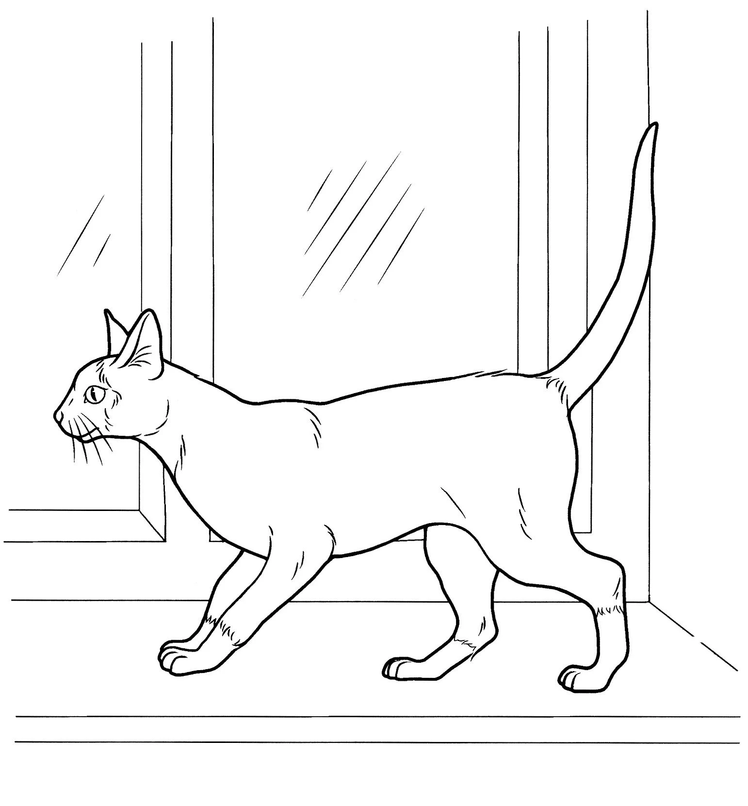 Kedi boyama sayfası – eğitici aktivite, yaratıcılık