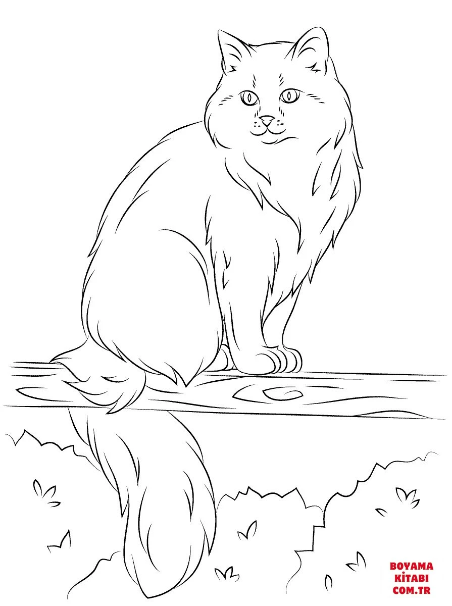 Kedi boyama sayfası – keyifli zaman, renkli çizimler