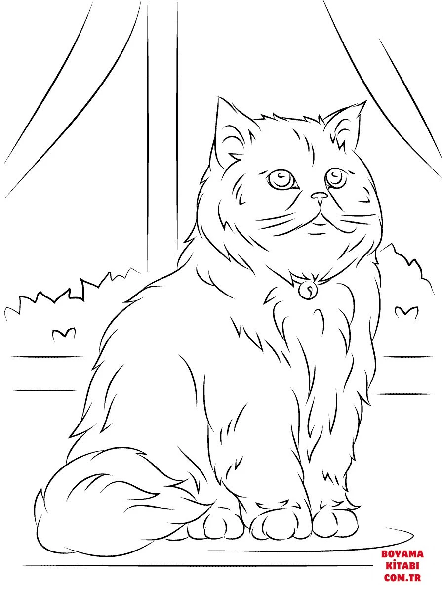 Kedi boyama sayfası – PDF indir, sevimli karakter