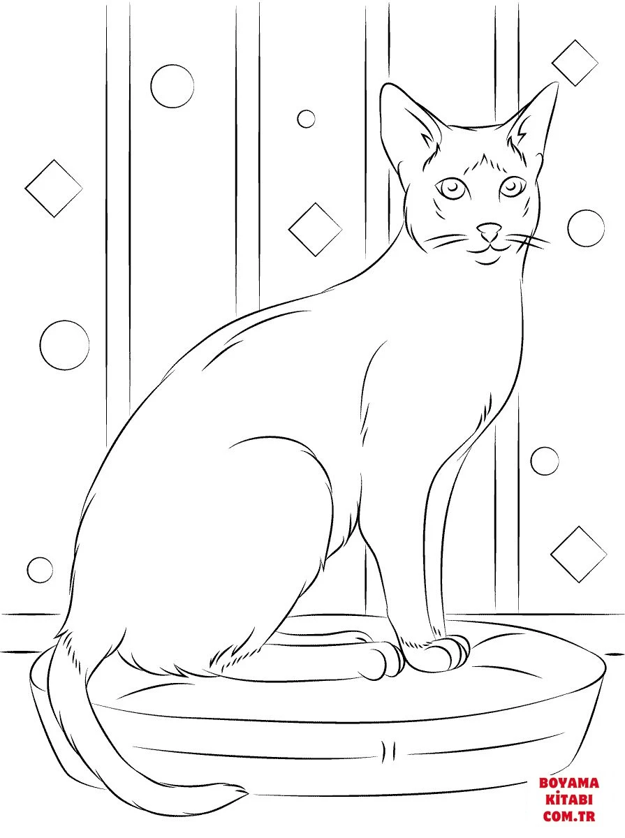 Kedi boyama sayfası – çocuklar için, çizgi film temalı
