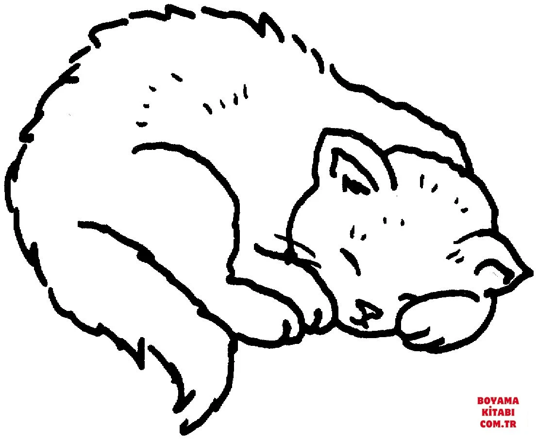 Kedi boyama sayfası – sevimli karakter, sanatsal çalışma
