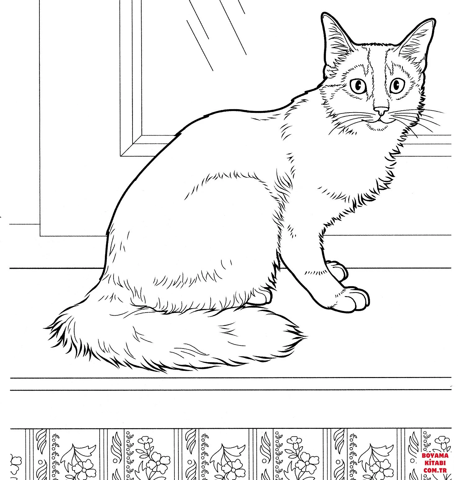Kedi boyama sayfası – renkli çizimler, okul öncesi