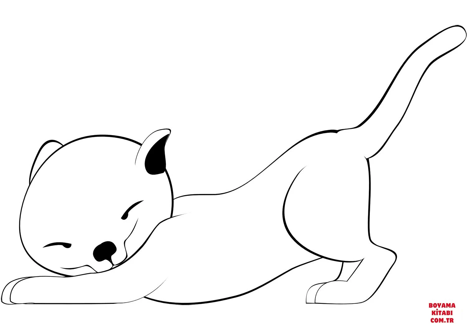 Kedi boyama sayfası – PDF indir, sevimli karakter
